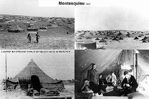 61 - 2nde Guerre Mondiale (8)_000031